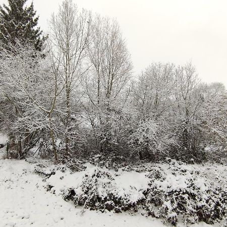 Gite Les Eylauds Pionsat Exterior foto