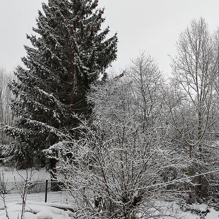 Gite Les Eylauds Pionsat Exterior foto